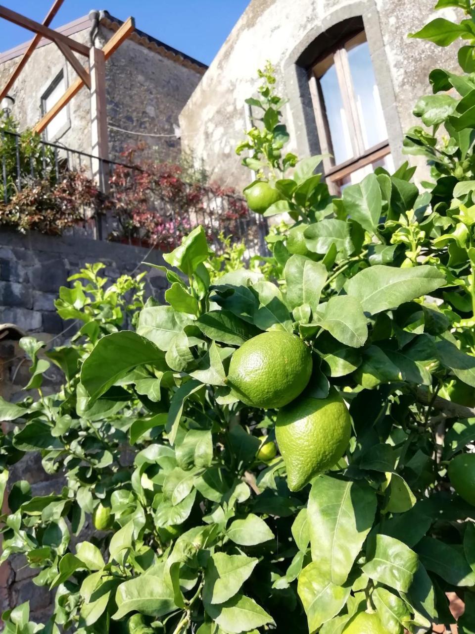 マスカリ La Pietra Antica O' Muntiヴィラ エクステリア 写真
