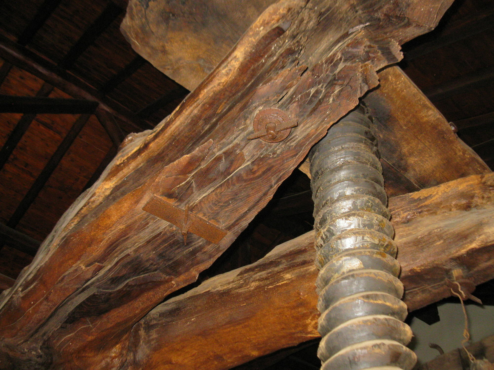 マスカリ La Pietra Antica O' Muntiヴィラ エクステリア 写真